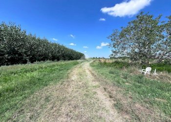 Rustico Via Guglielmo Marconi, Malalbergo - foto 3