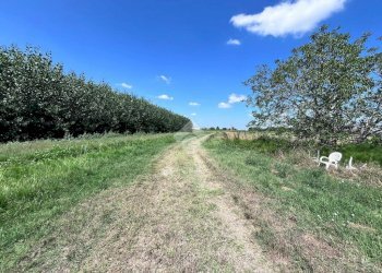 Rustico Via Guglielmo Marconi, Malalbergo - foto 8