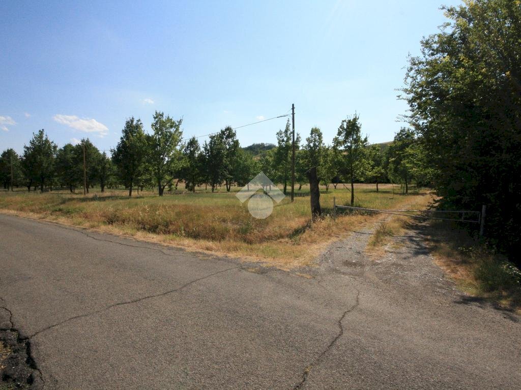 Terreno agricolo via Campadio, Valsamoggia (zona Torrazzi) - foto 1