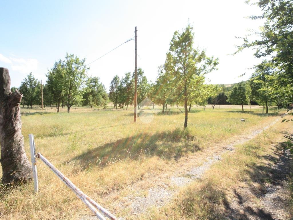 Terreno agricolo via Campadio, Valsamoggia (zona Torrazzi) - foto 2