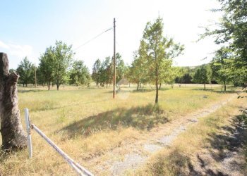 Terreno agricolo via Campadio, Valsamoggia (zona Torrazzi) - foto 2