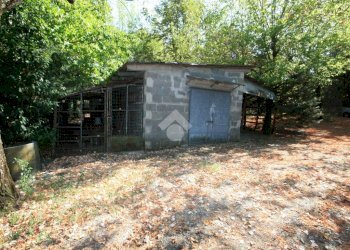 Terreno agricolo via Campadio, Valsamoggia (zona Torrazzi) - foto 4