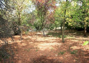 Terreno agricolo via Campadio, Valsamoggia (zona Torrazzi) - foto 5