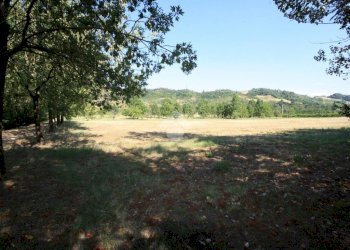 Terreno agricolo via Campadio, Valsamoggia (zona Torrazzi) - foto 6