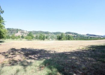 Terreno agricolo via Campadio, Valsamoggia (zona Torrazzi) - foto 7