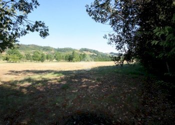 Terreno agricolo via Campadio, Valsamoggia (zona Torrazzi) - foto 8