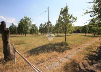 Terreno agricolo via Campadio, Valsamoggia (zona Torrazzi) - foto 9
