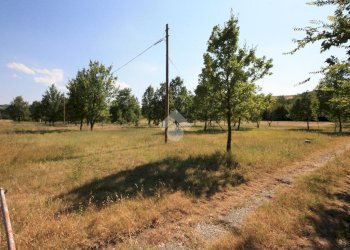 Terreno agricolo via Campadio, Valsamoggia (zona Torrazzi) - foto 10