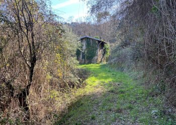 Villa Unifamiliare via delle selvette, Camaiore - foto 22