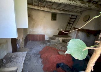 Villa Unifamiliare via delle selvette, Camaiore - foto 25