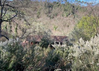 Villa Unifamiliare via delle selvette, Camaiore - foto 26