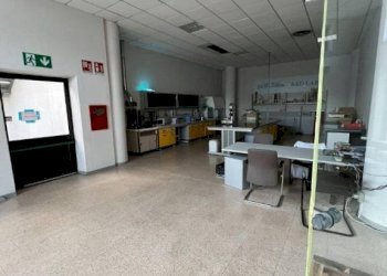 Capannone Alba - foto 9