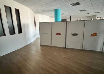 Capannone Alba - foto 12