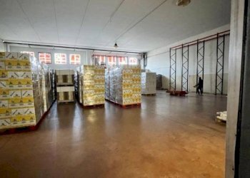 Capannone Alba - foto 18