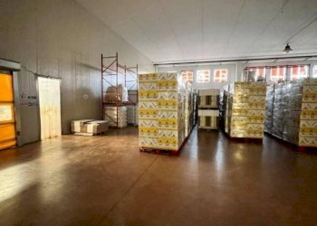 Capannone Alba - foto 19