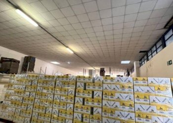 Capannone Alba - foto 22