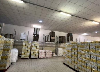 Capannone Alba - foto 23