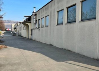 Capannone Alba - foto 31