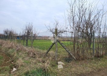 Agricultural land Strada dell' acquedotto, Ciriè - photo 5