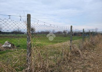 Agricultural land Strada dell' acquedotto, Ciriè - photo 10