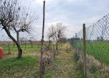 Agricultural land Strada dell' acquedotto, Ciriè - photo 12