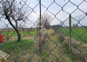 Agricultural land Strada dell' acquedotto, Ciriè - photo 11