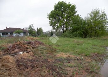 Terreno edificabile Via Valperga, Busano - foto 5