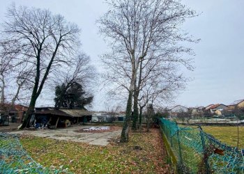 Building land Via ponte masino, Nole - photo 13