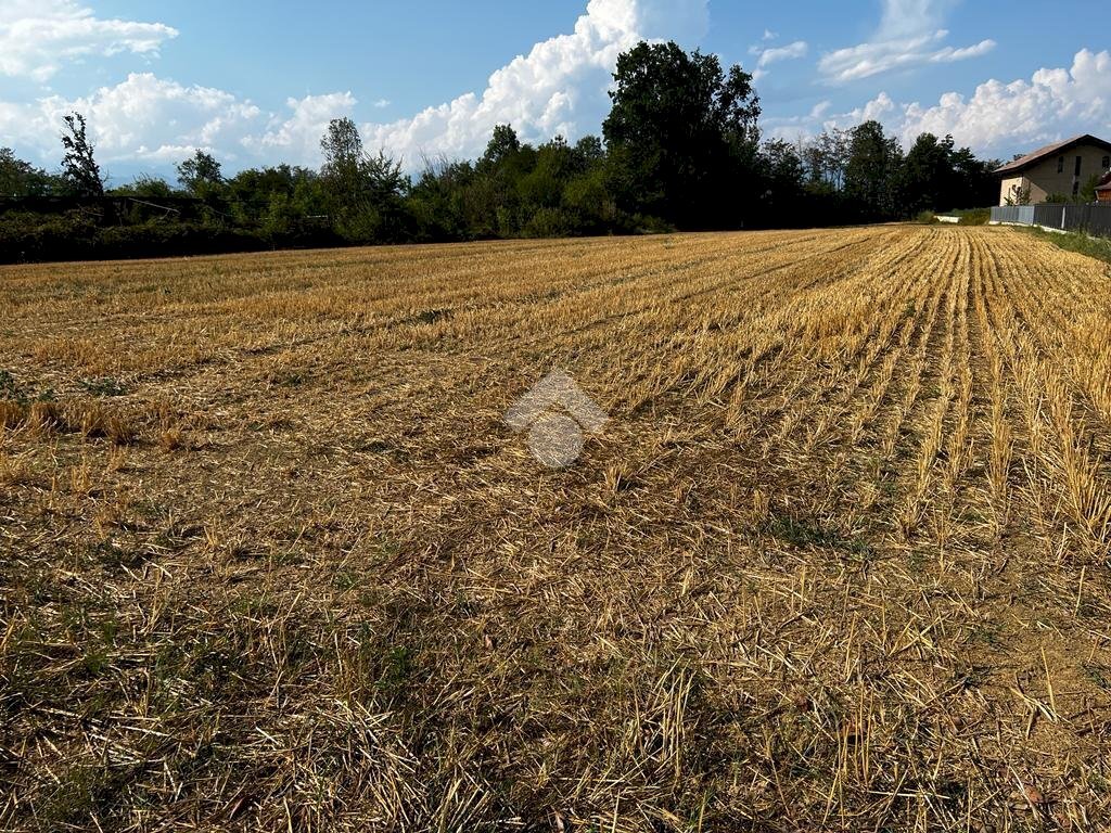 Terreno edificabile Via Dei Lilla', Lombardore - foto 1