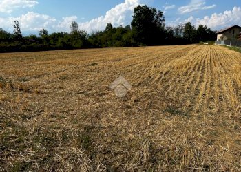 Terreno edificabile Via Dei Lilla', Lombardore - foto 10