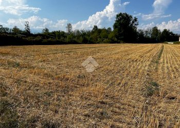 Terreno edificabile Via Dei Lilla', Lombardore - foto 12