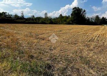 Terreno edificabile Via Dei Lilla', Lombardore - foto 15