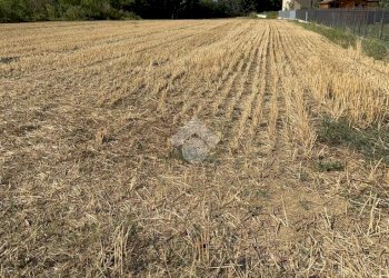 Terreno edificabile Via Dei Lilla', Lombardore - foto 22