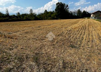 Terreno edificabile Via Dei Lilla', Lombardore - foto 24