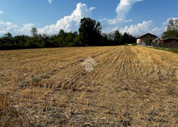 Terreno edificabile Via Dei Lilla', Lombardore - foto 8