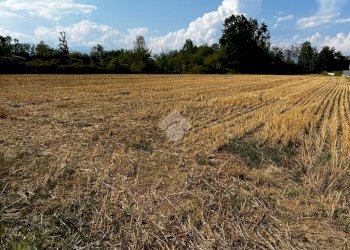 Terreno edificabile Via Dei Lilla', Lombardore - foto 29