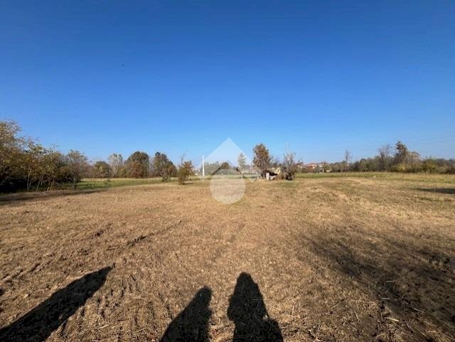 Terreno agricolo via megliassoni, San Francesco al Campo - foto 2