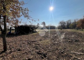 Terreno agricolo Via Megliassoni, San Francesco al Campo - foto 2