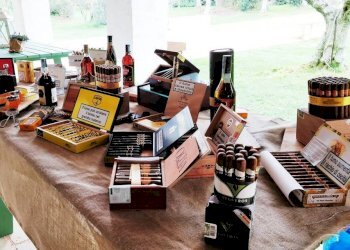 Bar - Tobacco - Ricevitoria Torino - photo 4