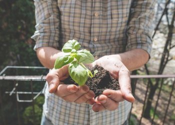 Casa semi indipendente Borgata combacalda, Coazze - foto 42