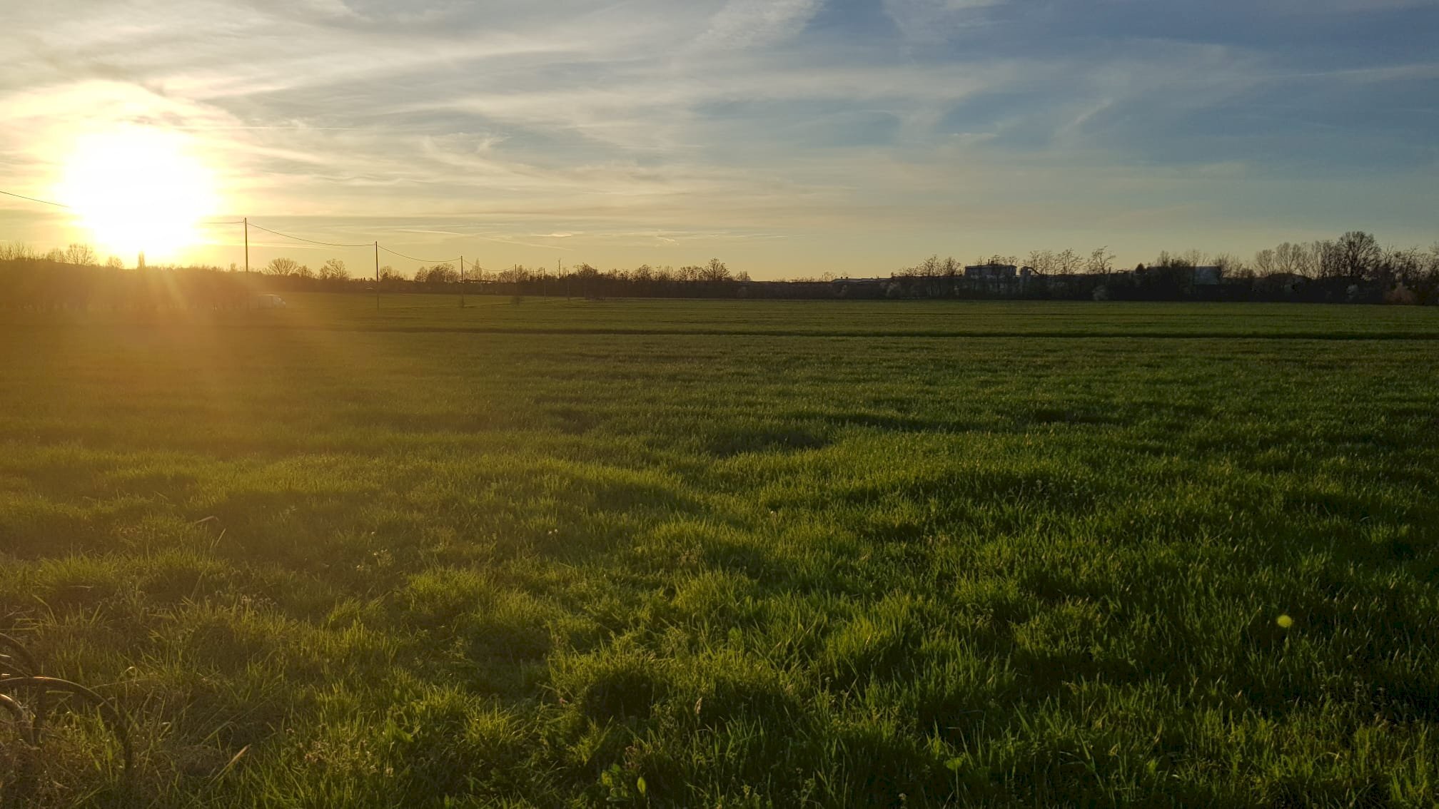 Agricultural land Via Ossi, Castelvetro di Modena - photo 1