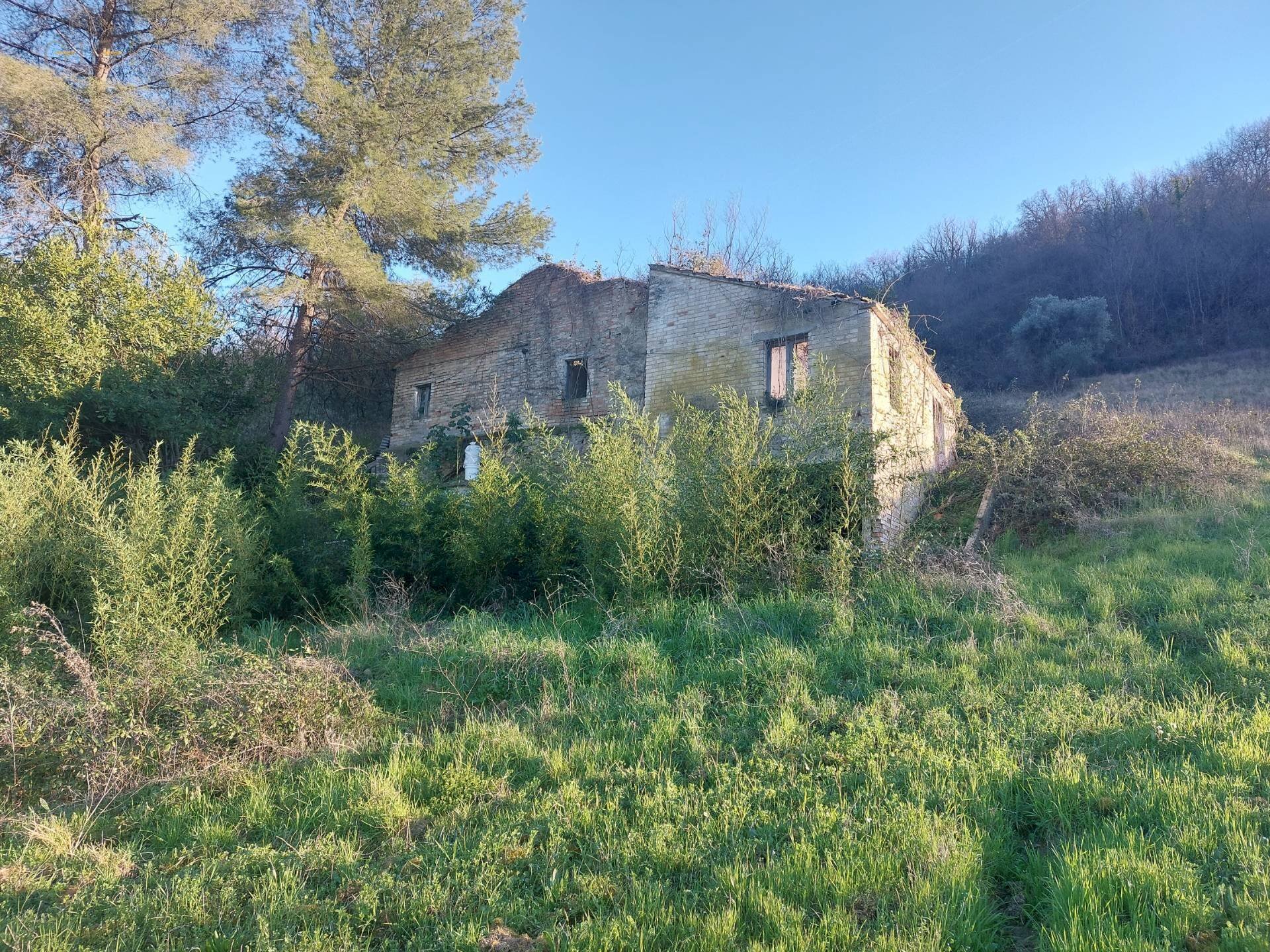 Rustic C.da Fiorano, Ripatransone - photo 1