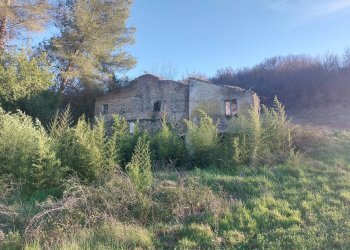 Rustico C.da Fiorano, Ripatransone - foto 5