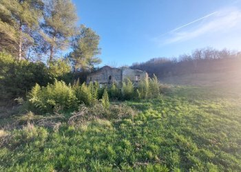 Rustico C.da Fiorano, Ripatransone - foto 6