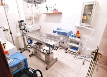 20230322_101218.jpg - Locale Commerciale Pescara - foto 3