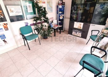 20230322_101359.jpg - Locale Commerciale Pescara - foto 9