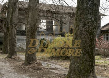 _DSF4621.jpg - Villa Via Don Gemelli  7, Colazza - foto 20