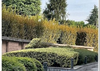 Three-room apartment Bergamo - photo 23