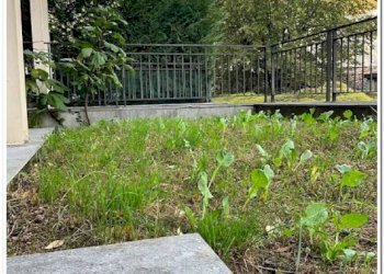 Three-room apartment Bergamo - photo 18