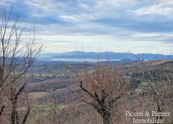 02.jpg - Porzione di casa Castello di Greppolischieto, Piegaro - foto 2